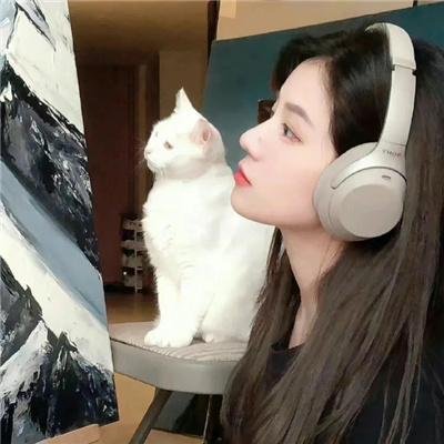 外星人之谜